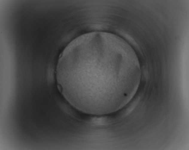 X0000100840450200807070936