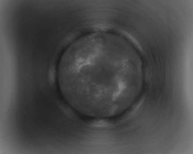 X0000100840451200807070936