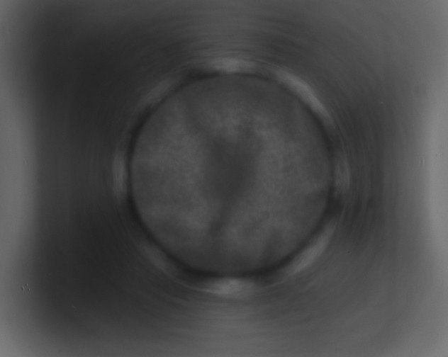 X0000100840453200807070936