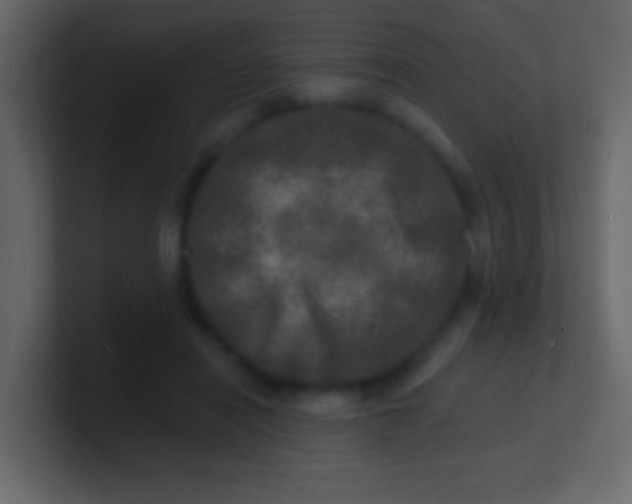 X0000100840454200807070936