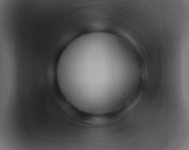 X0000100840455200807070936