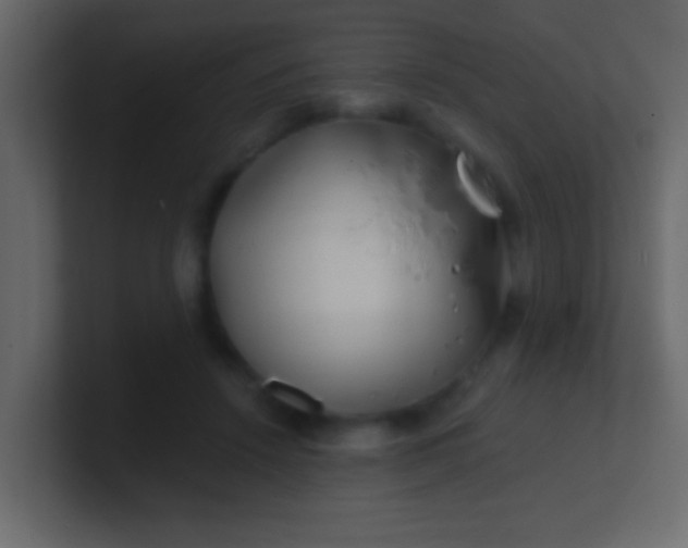 X0000100840456200807070936