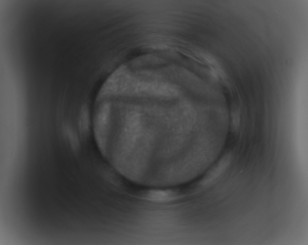 X0000100840457200807070936