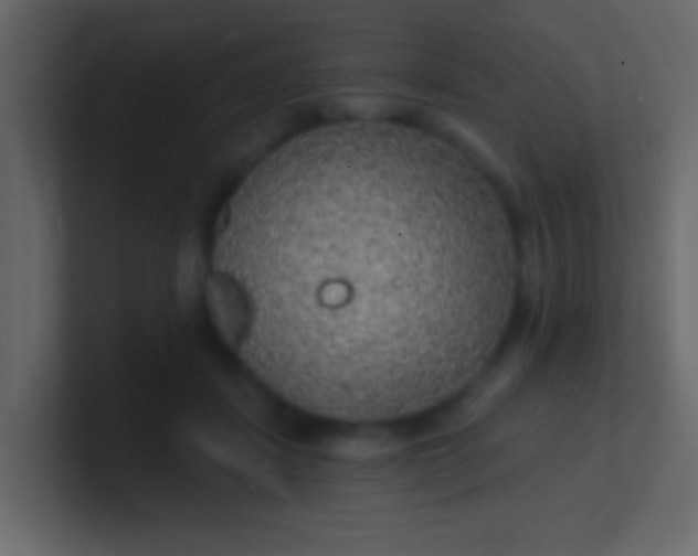 X0000100840459200807070937