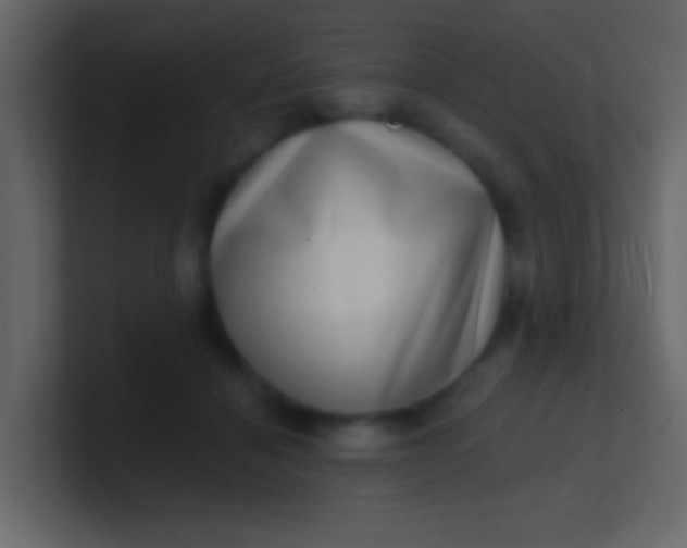 X0000100840460200807070937