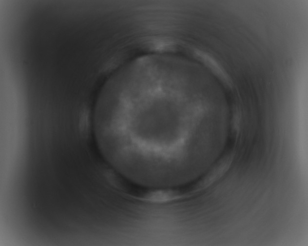 X0000100840461200807070937