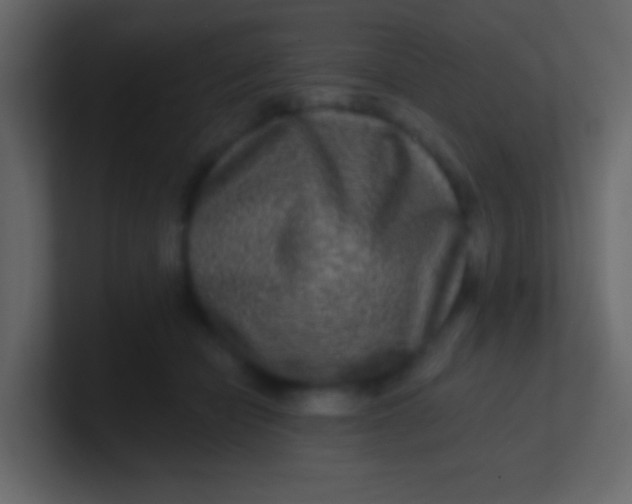 X0000100840462200807070937