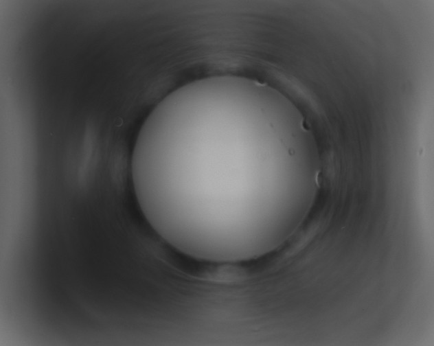 X0000100840463200807070937