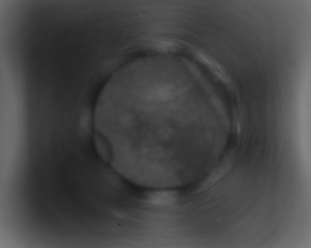 X0000100840465200807070937