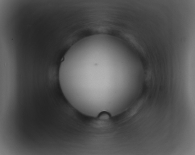 X0000100840466200807070937