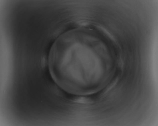 X0000100840467200807070937