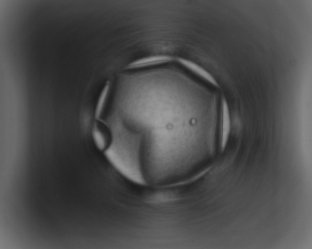 X0000100840468200807070937