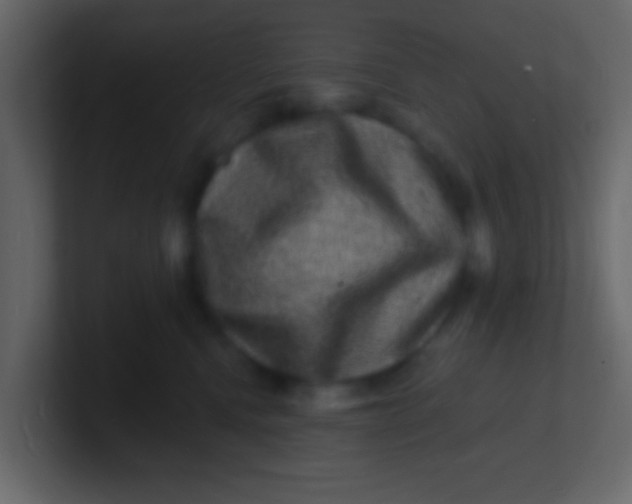 X0000100840472200807070937