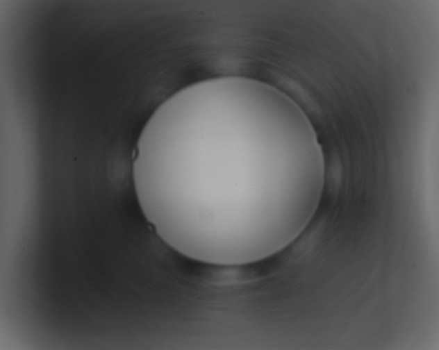 X0000100840473200807070937