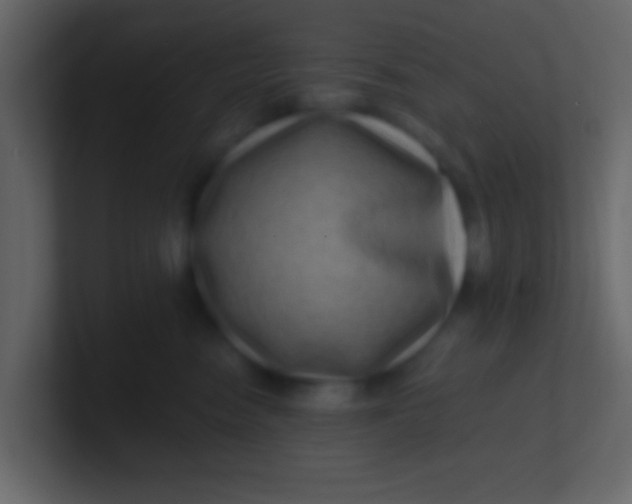 X0000100840474200807070937