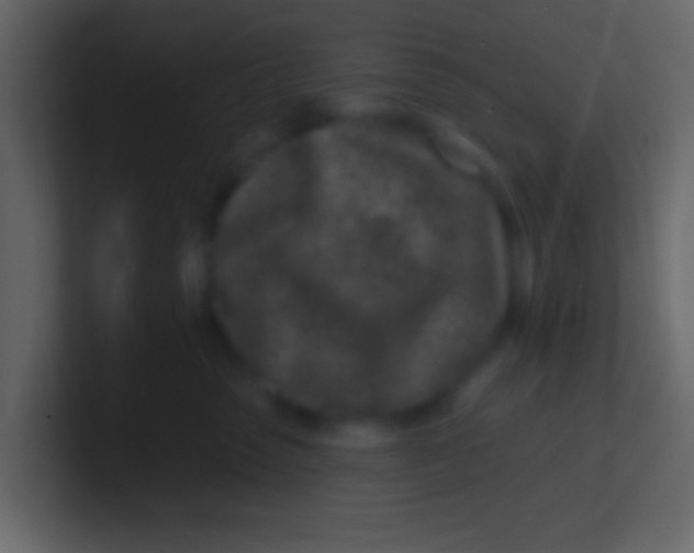 X0000100840475200807070937