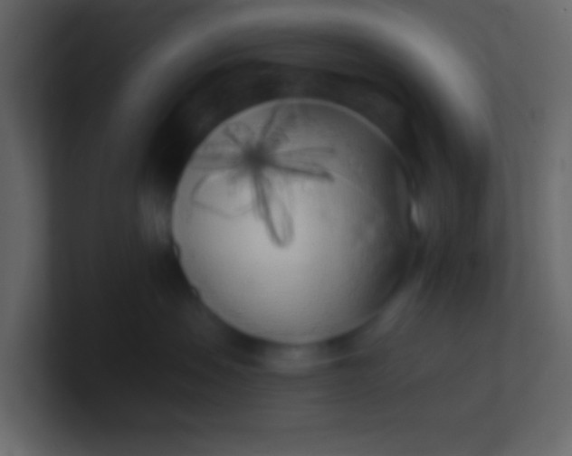 X0000100840479200807070937