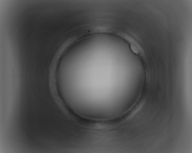 X0000100840481200807070936