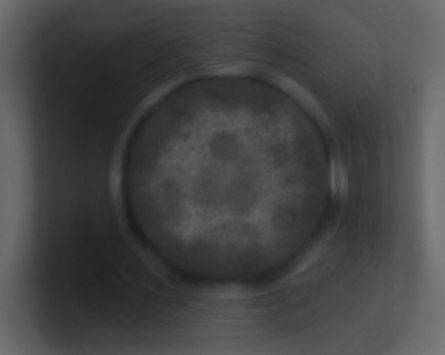 X0000100840483200807070936