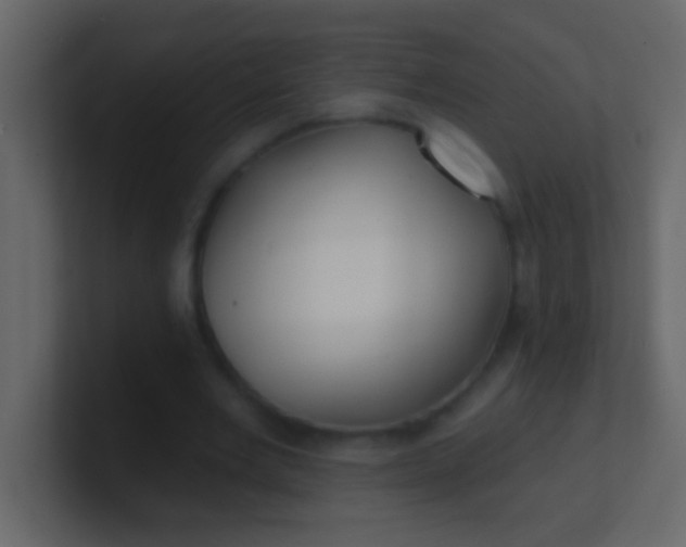 X0000100840485200807070936