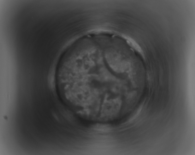 X0000100840487200807070936