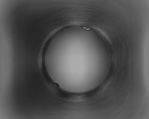 X0000100840488200807070936