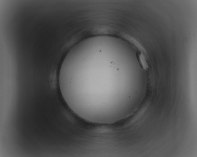 X0000100840489200807070936