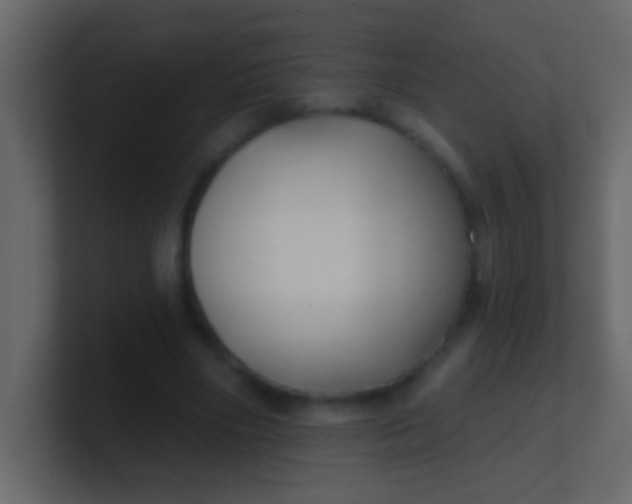 X0000100840490200807070936