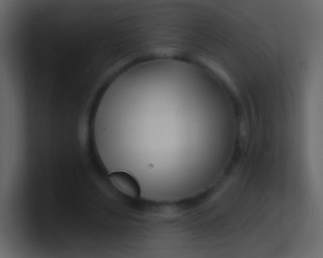 X0000100840492200807070936