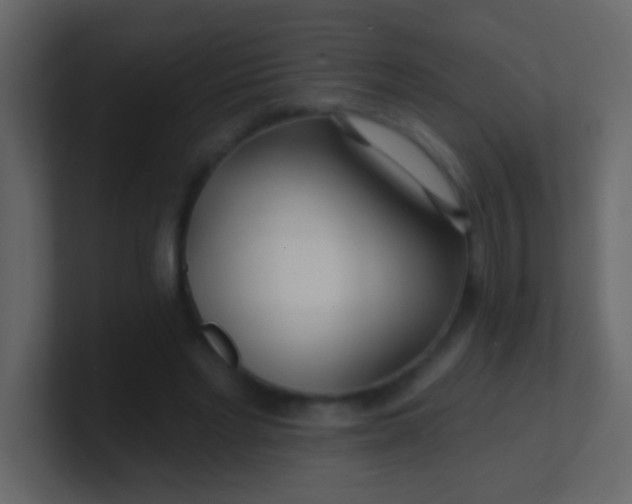 X0000100840493200807070936