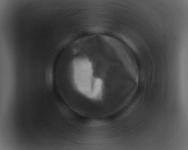 X0000100840494200807070936