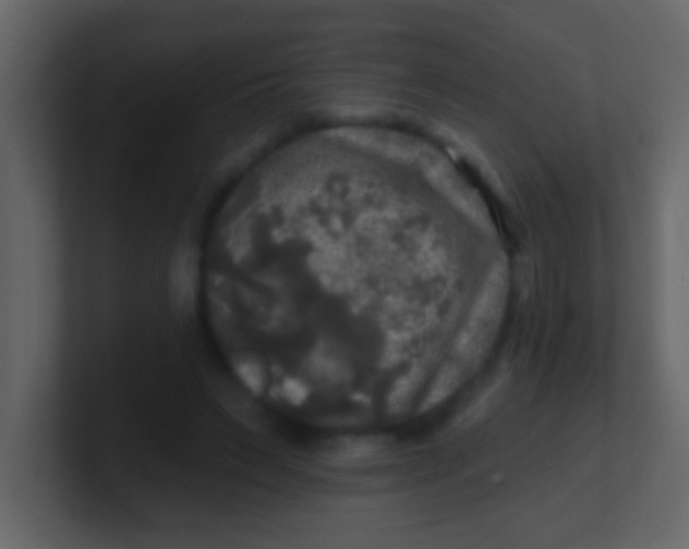 X0000100840495200807070936