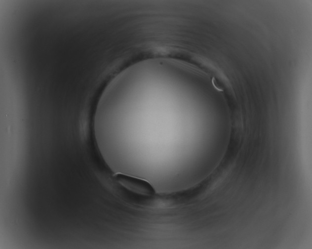 X0000100840496200807070936