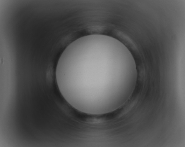 X0000100840498200807070936