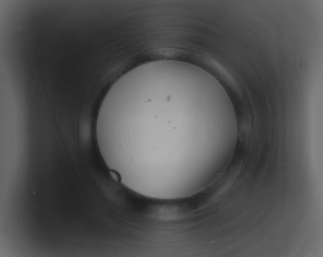 X0000100840500200807070936