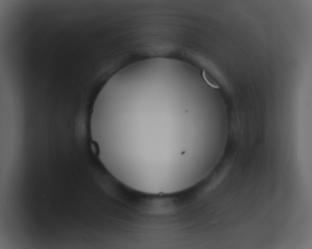 X0000100840501200807070936