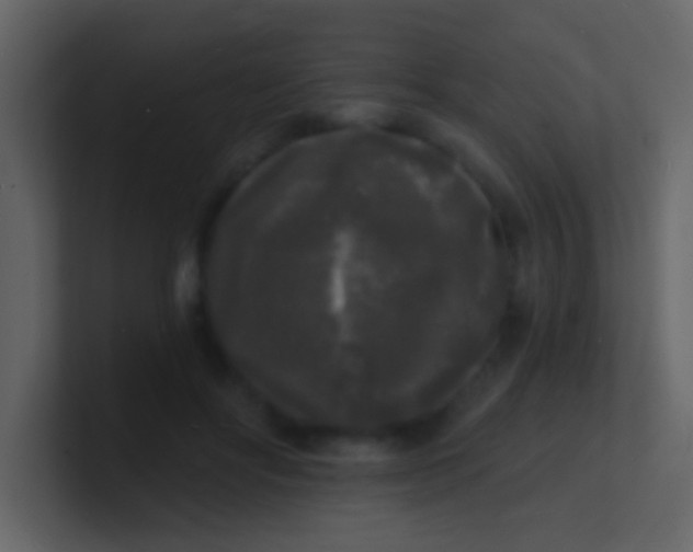 X0000100840502200807070936