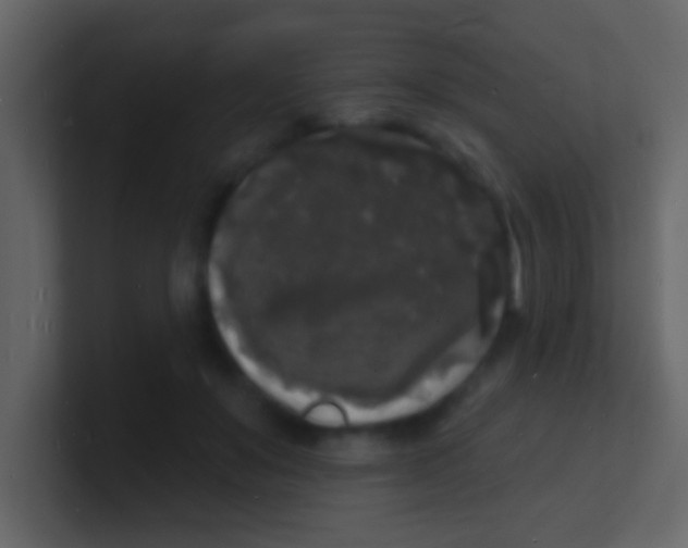 X0000100840503200807070936