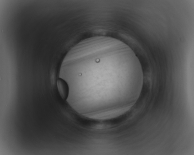 X0000100840504200807070936