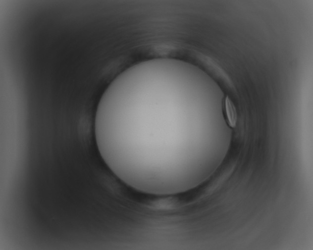 X0000100840505200807070936