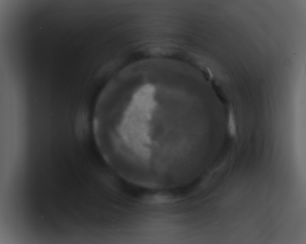 X0000100840506200807070936