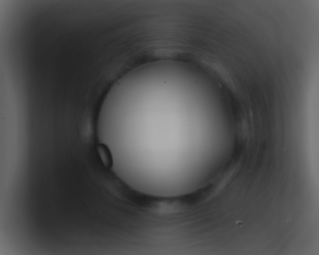 X0000100840508200807070936