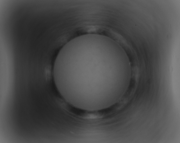 X0000100840510200807070936