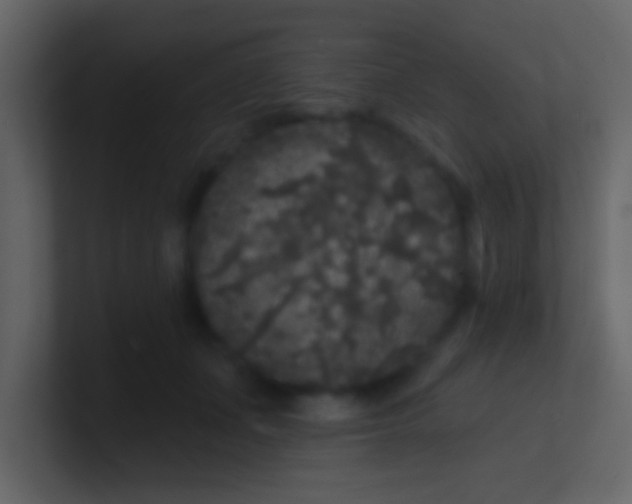 X0000100840511200807070936