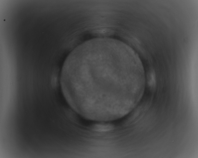 X0000100840515200807070936