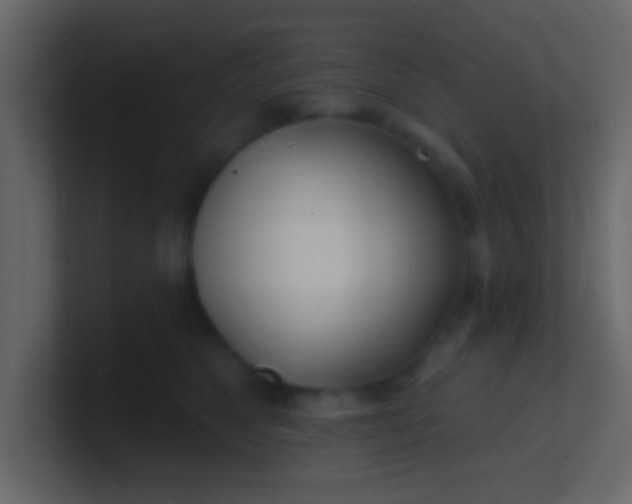 X0000100840517200807070936