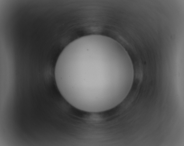 X0000100840518200807070936