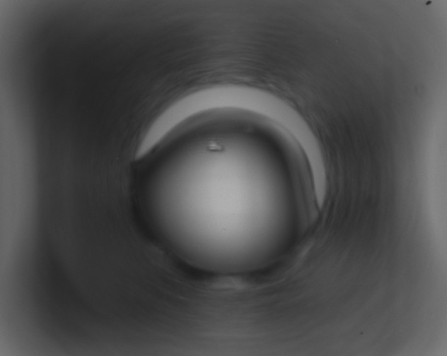 X0000100840519200807070936