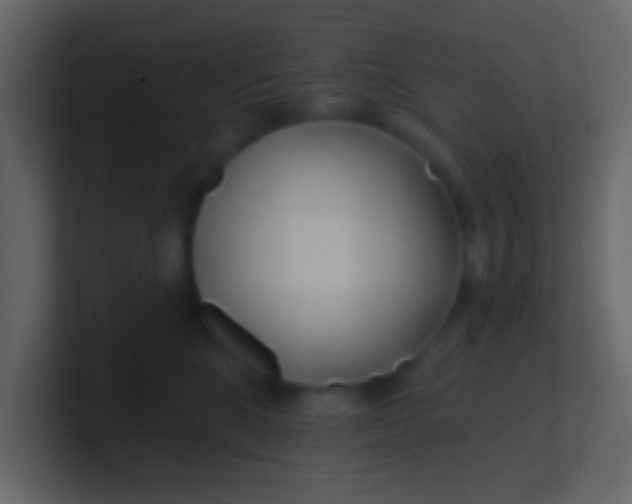 X0000100840520200807070936