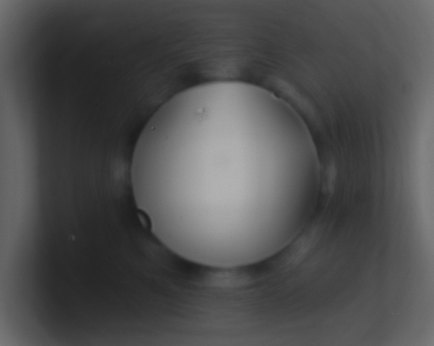 X0000100840521200807070936